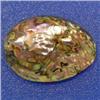 Image 1 : 38X28 MM IRIDESCENT MOTHER OF PEARL PIECE