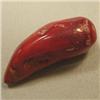 Image 1 : 40 CTS FREE FORM BAMBOO RED CORAL PIECE 33x12 MM - TOP DRILLED