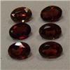 Image 1 : 5.30 CTS LOT OF OVAL SHAPED GARNET 7x5 MM