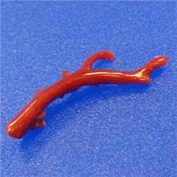 18.36 CTS NATURAL ITALIAN CORAL BRANCH 50x20 MM