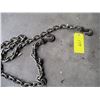 Image 2 : 12 ft chain