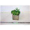 Image 1 : Artificial Succulents