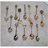 Image 1 : Lot of collectible spoons