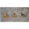 Image 1 : (3) Gold colored equestrian brooches