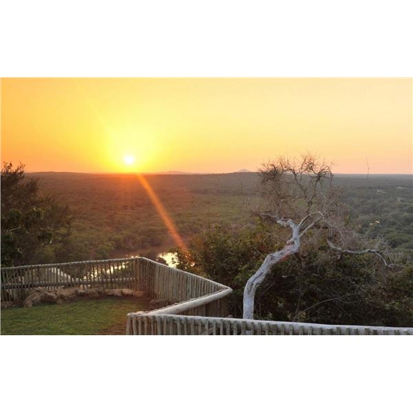 African Wild Safaris Hunt