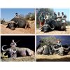 Image 2 : African Wild Safaris Hunt