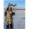 Image 1 : North Dakota Pike Spearing