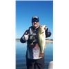 Image 7 : Mexico dove, duck & bass trip