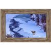Image 1 : Framed Mule Deer Photo by Libby Littler