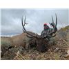 Image 1 : Bull elk hunt - Wyoming residents only!