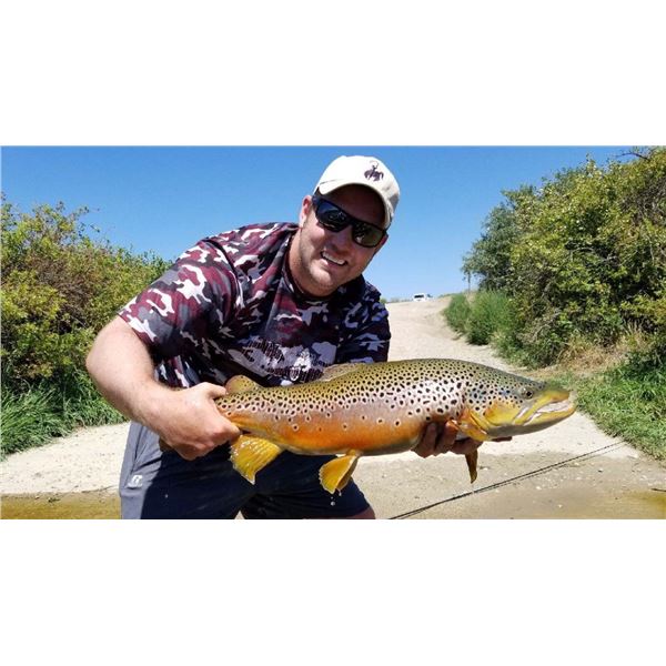 Full Day Guided Fly Fishing Trip in Wyoming