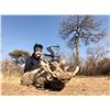Image 4 : 7 day, 8 night Africa hunt for 2 with Monkane Safaris
