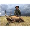 Image 5 : 7 day, 8 night Africa hunt for 2 with Monkane Safaris