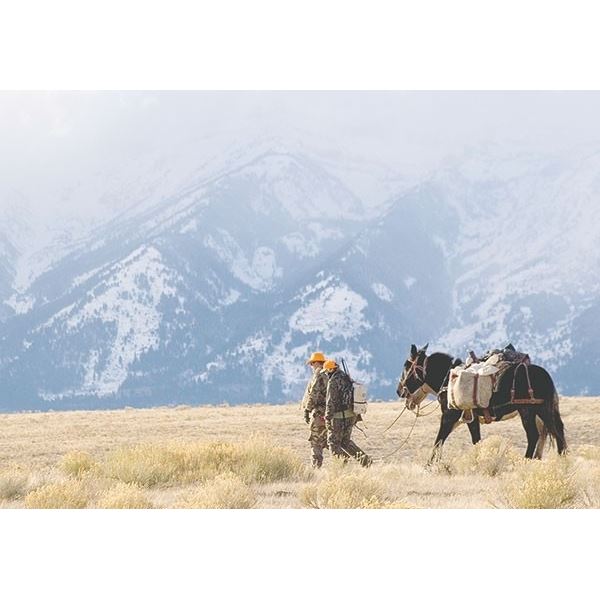 Wyoming Cow Elk Hunt for one YOUTH & one non-hunter companion