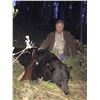 Image 1 : Wyoming Black bear hunt