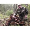 Image 3 : Wyoming Black bear hunt