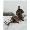 Image 1 : Alberta Whitetail Hunt