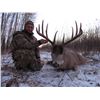 Image 2 : Alberta Whitetail Hunt