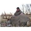 Image 4 : Alberta Whitetail Hunt
