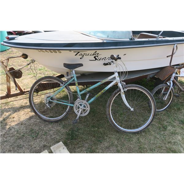 Bicycle (Cecil Ferry)