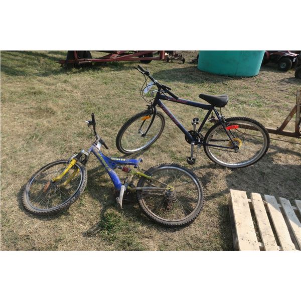 Bicycle (Cecil Ferry)