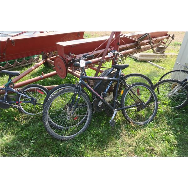 2 Bicycles  (Cecil Ferry)