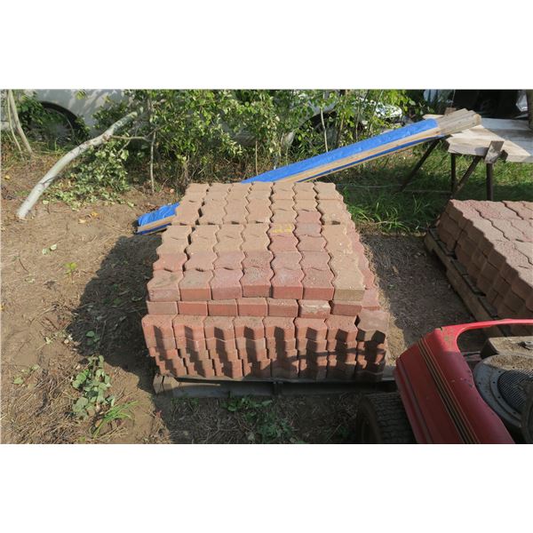 Approx. 250 Patio Stones  (Cecil Ferry)