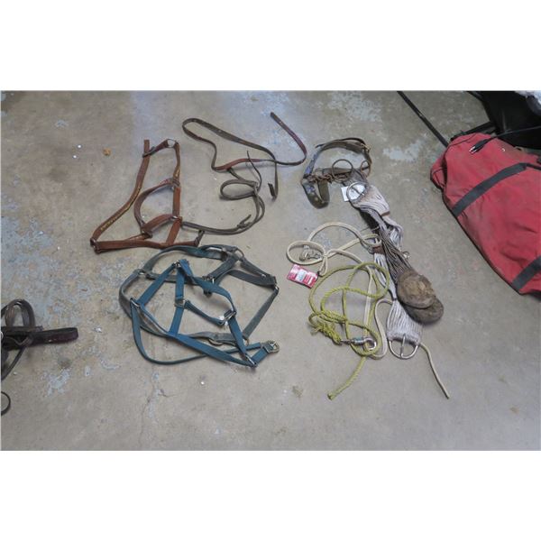 Misc. Cinches, leads, etc.