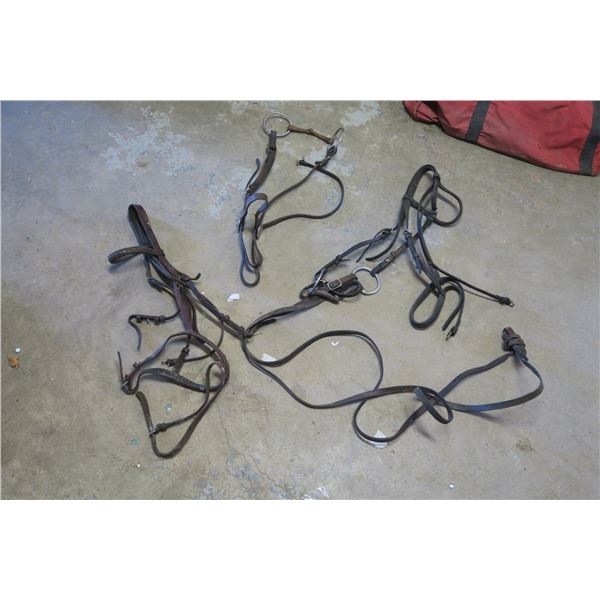 3 Bridles