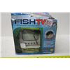 Image 9 : The One & Only, FishTV!