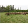Image 3 : 40ft. Massey Ferguson Cultivator w/ Harrow Tines