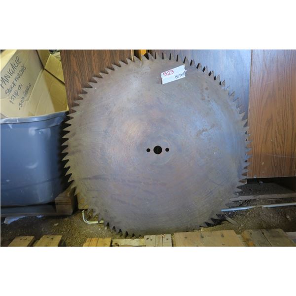 30" Saw Blade