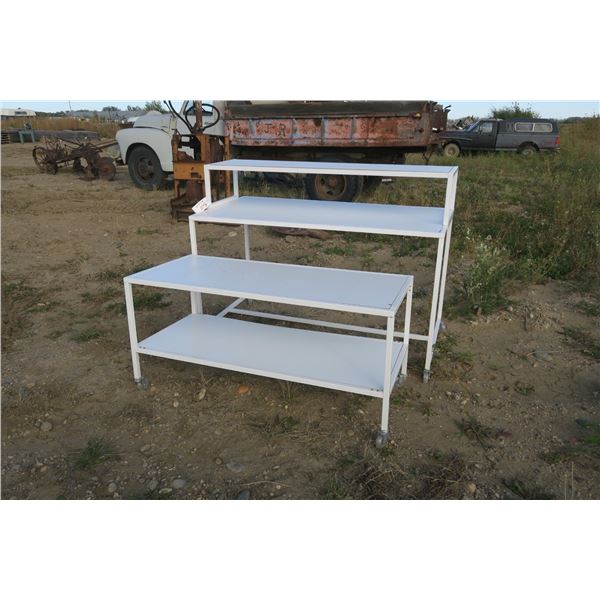 2 Department Store Shelves on Wheels - 30x60x46" & 54x24x26"