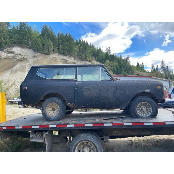 1981 INTERNATIONAL SCOUT