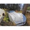 Image 1 : 1981 CHEVROLET CORVETTE BASE