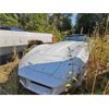 Image 2 : 1981 CHEVROLET CORVETTE BASE