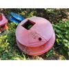 Image 2 : BUMPER BOATS AND MOTORS - HONDA 4 STROKES X 3 AND 9 X SHELLS