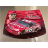 Image 1 : MINI COLLECTIBLE DALE EARNHARDT JR CAR HOOD