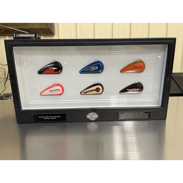 COLLECTIBLE HARLEY DAVIDSON TANK COLLECTION FRAMED PICTURE collectible-harley-davidson-tank-collection-framed-picture