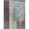 Image 2 : Tiger Woods Print Signed Hoiyon