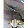 Image 2 : Deer Motif Cuckoo Clock - Missing 1 Chain Weight