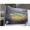 Image 1 : TB Rays 2008 World Series Print