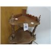 Image 2 : Mahogany 4 Tiger Corner Display Shelf 40"