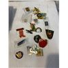 Image 1 : Lions pins and others