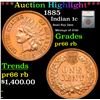Image 1 : Proof ***Auction Highlight*** 1885 Indian Cent 1c Graded pr66 rb By SEGS (fc)