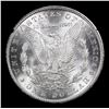 Image 3 : ***Auction Highlight*** NGC 1884-cc Morgan Dollar GSA Hoard $1 Graded ms64+ By NGC (fc)