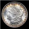 Image 2 : 1885-o Morgan Dollar $1 Graded ms66 By SEGS