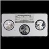 Image 2 : NGC 2006 3-Coin Proof Silver Eagle Set (20th Anniv) By NGC