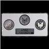 Image 3 : NGC 2006 3-Coin Proof Silver Eagle Set (20th Anniv) By NGC