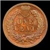 Image 3 : 1901 Indian Cent 1c Grades Gem+ Unc RB